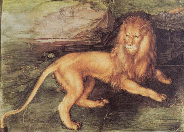 Not a wild bootstrap, but a wild lion, by Albrecht Duerer